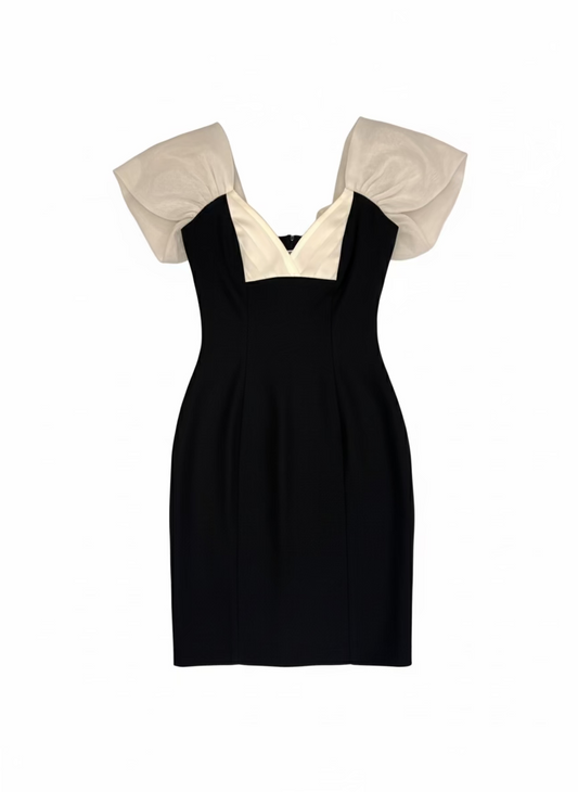 1980’s Puff Sleeve Dress